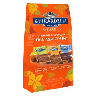 Premium Chocolate Fall Assortment SQUARES Medium Bags (Case of 5)